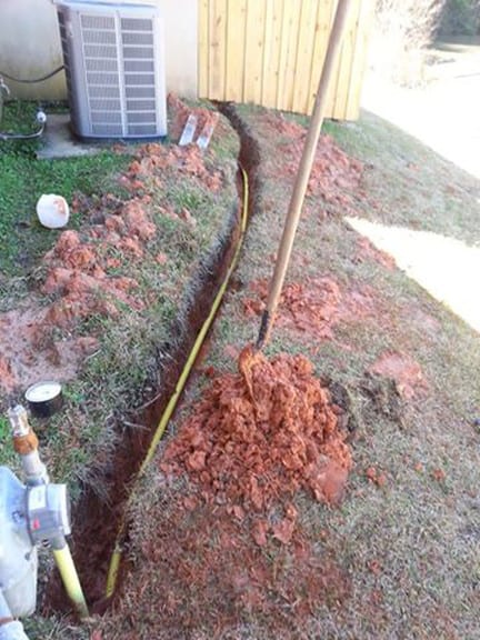 Caring for your drains and your septic tanks